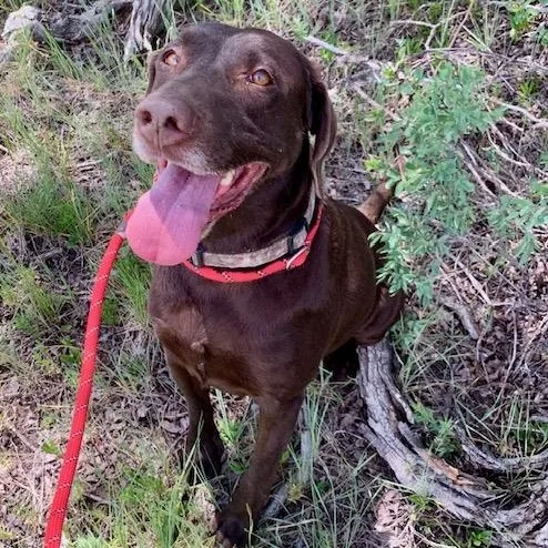 Copper