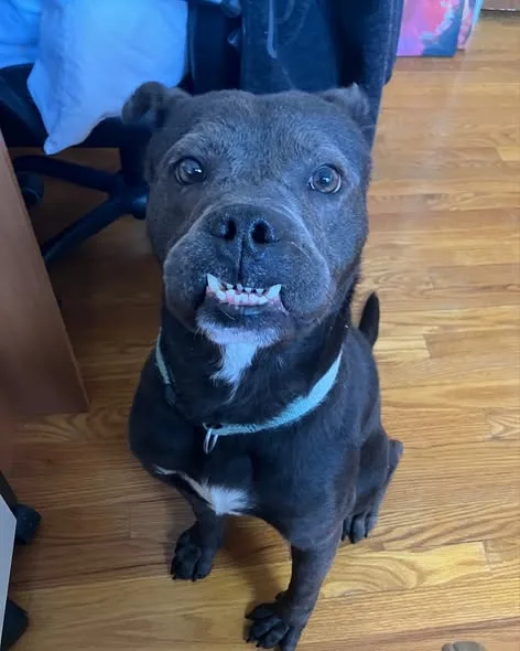 Jid aka jeddy bear