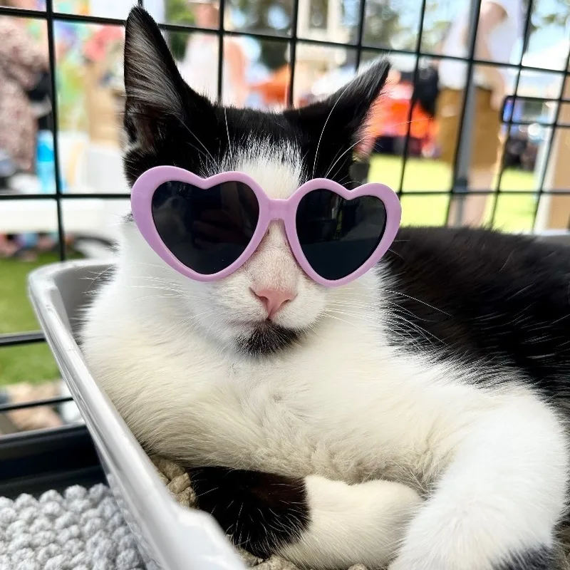 Bobbi Sue Bonded To thumbnail 2