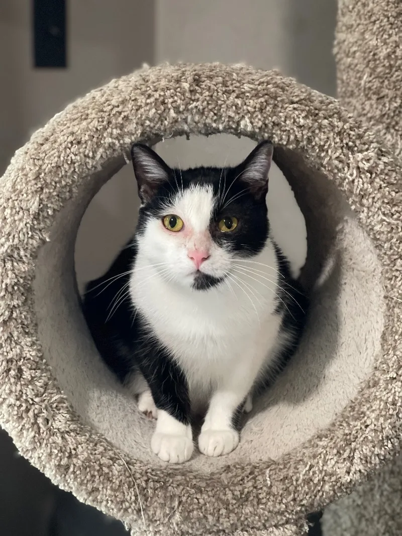 Bobbi Sue Bonded To thumbnail 4