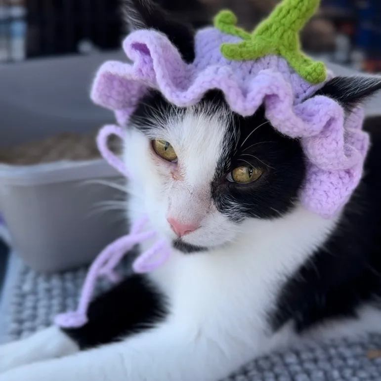 Bobbi Sue Bonded To thumbnail 6