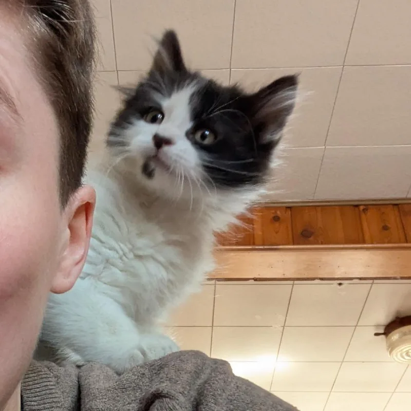 Alt thumbnail 3