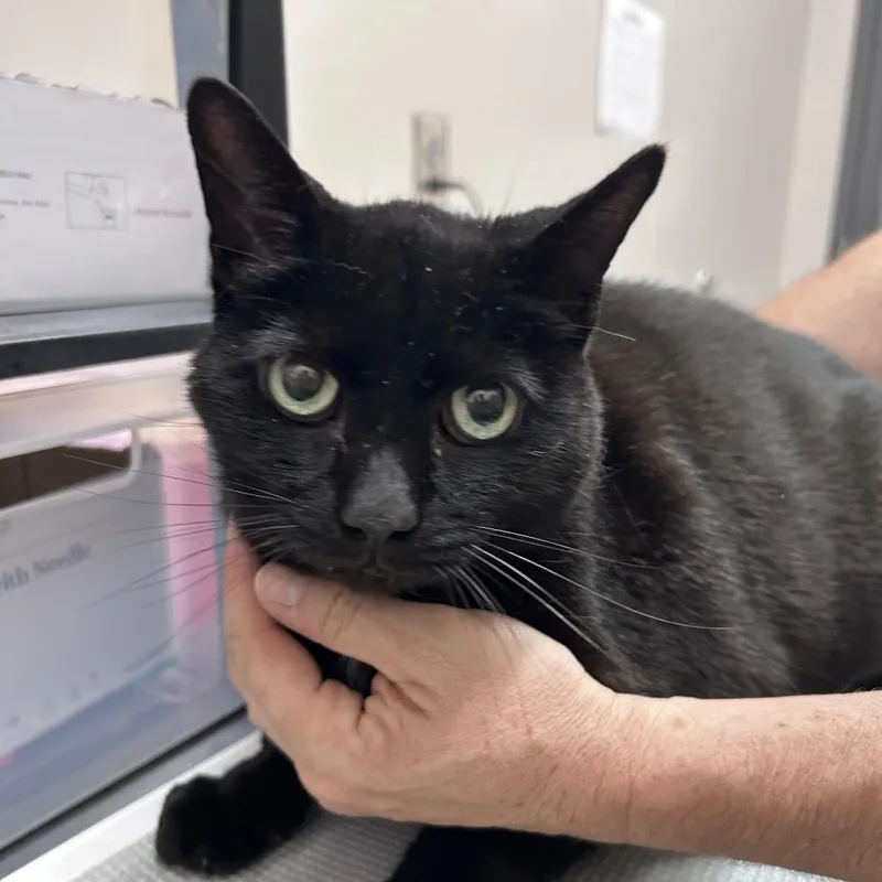 Cam thumbnail 2