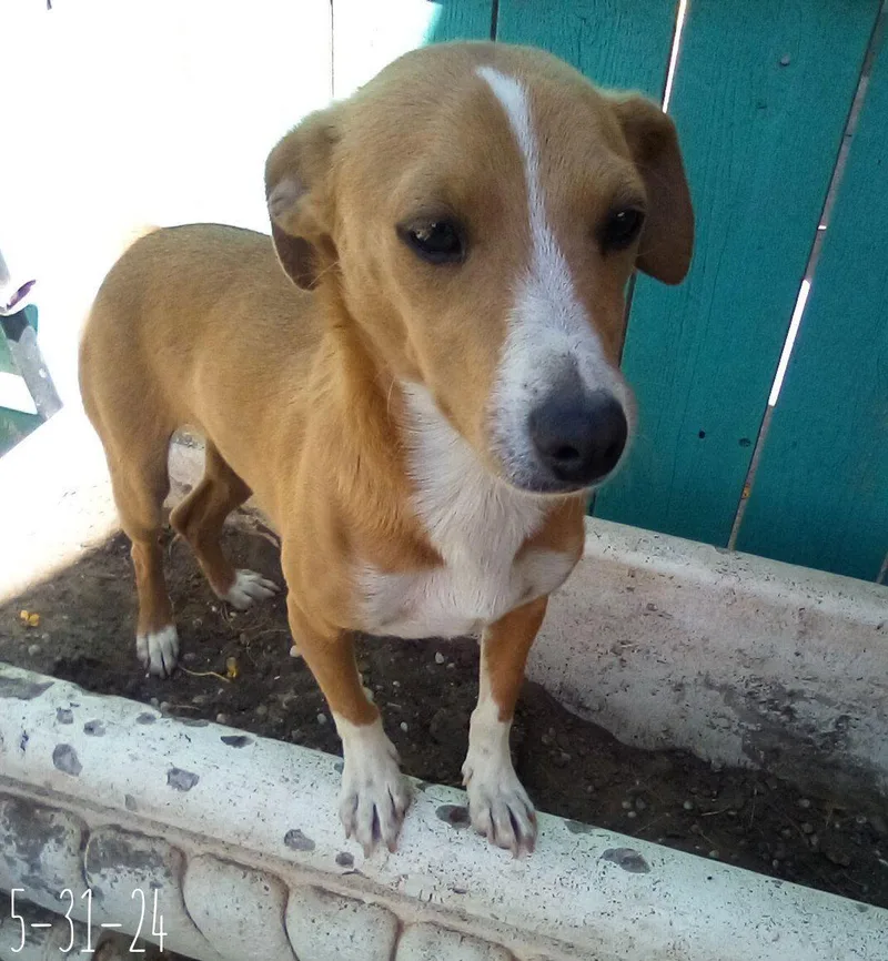 Peter Brady thumbnail 2