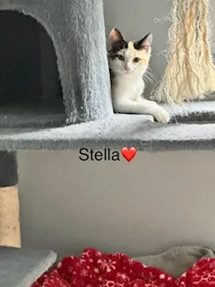 Amber and Stella thumbnail 3