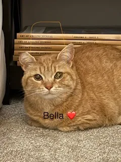 Bella thumbnail 3