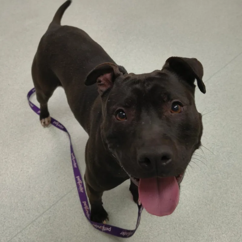 Senorita thumbnail 2