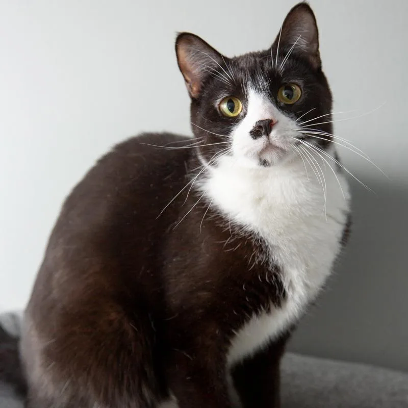 Bruce Springsteen thumbnail 3