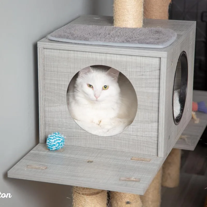 Bruce Springsteen thumbnail 5