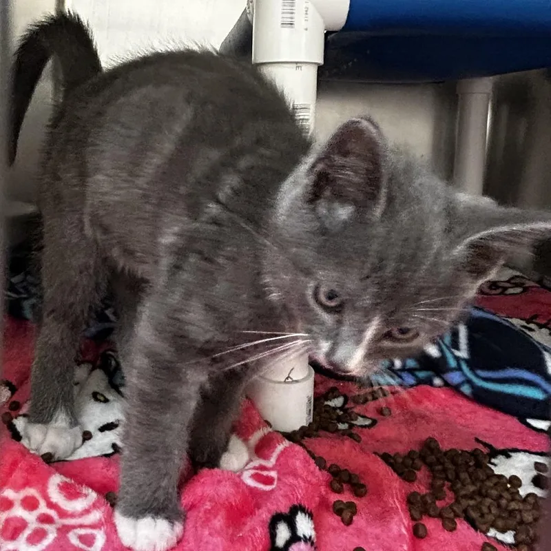 Spiderman thumbnail 3