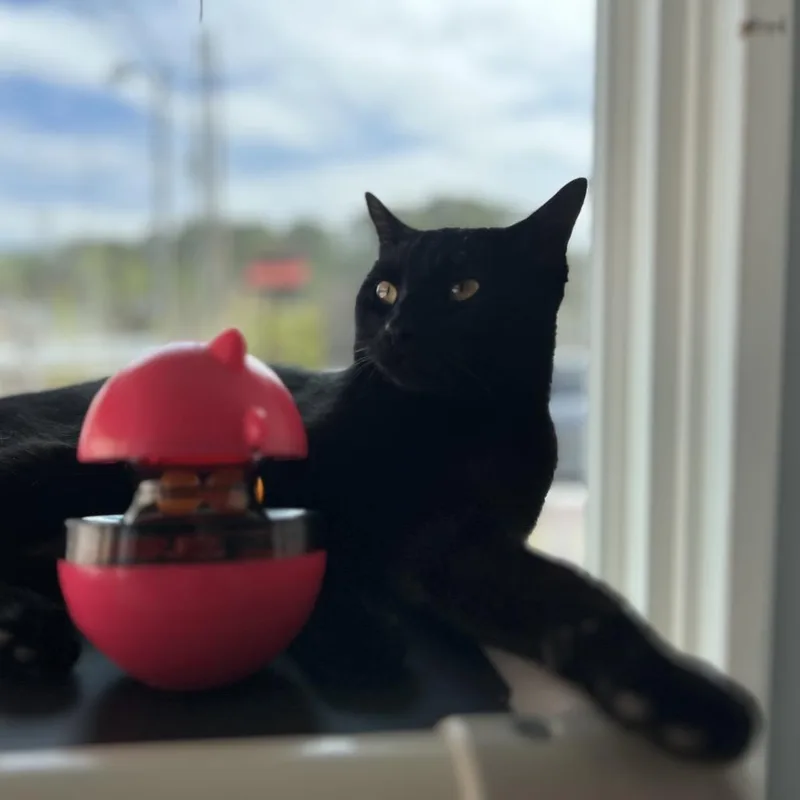 Promenade thumbnail 2