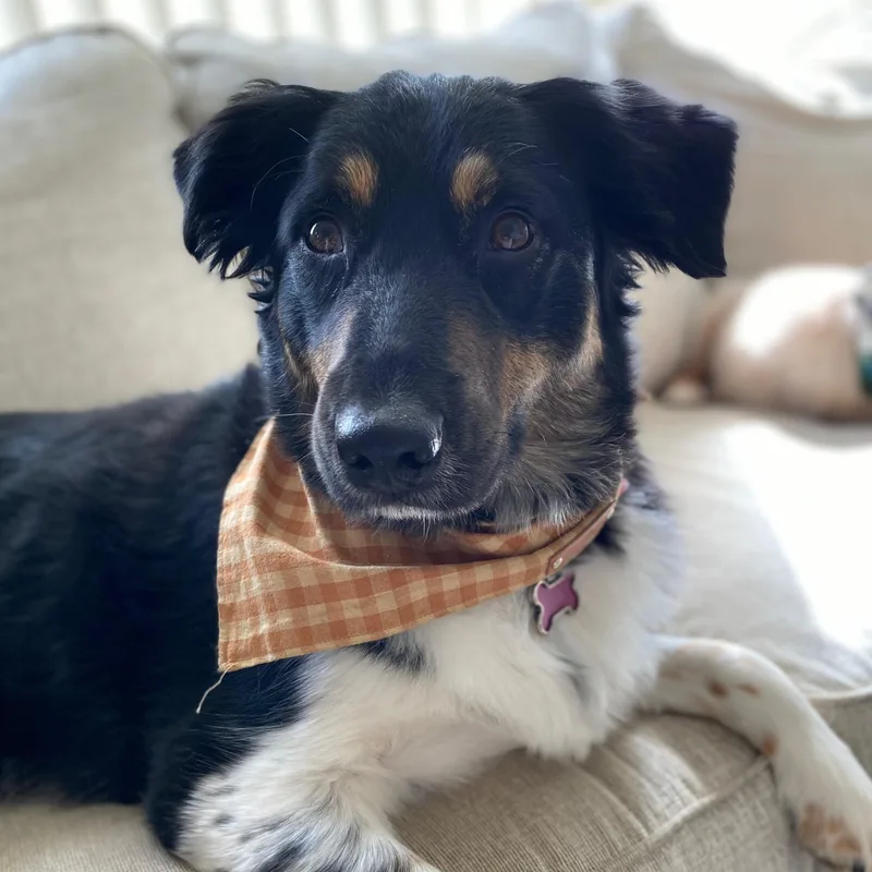Chloe