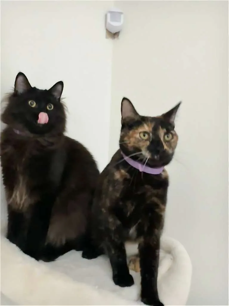 Bubbles thumbnail 8