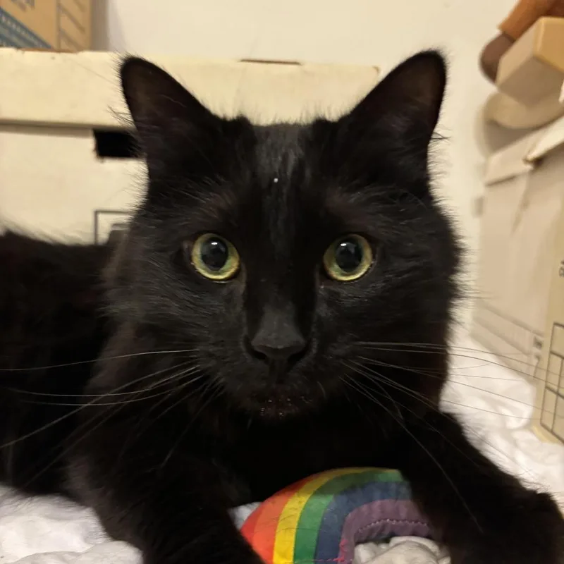 Ebenezer C thumbnail 3