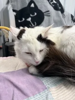 Olaf