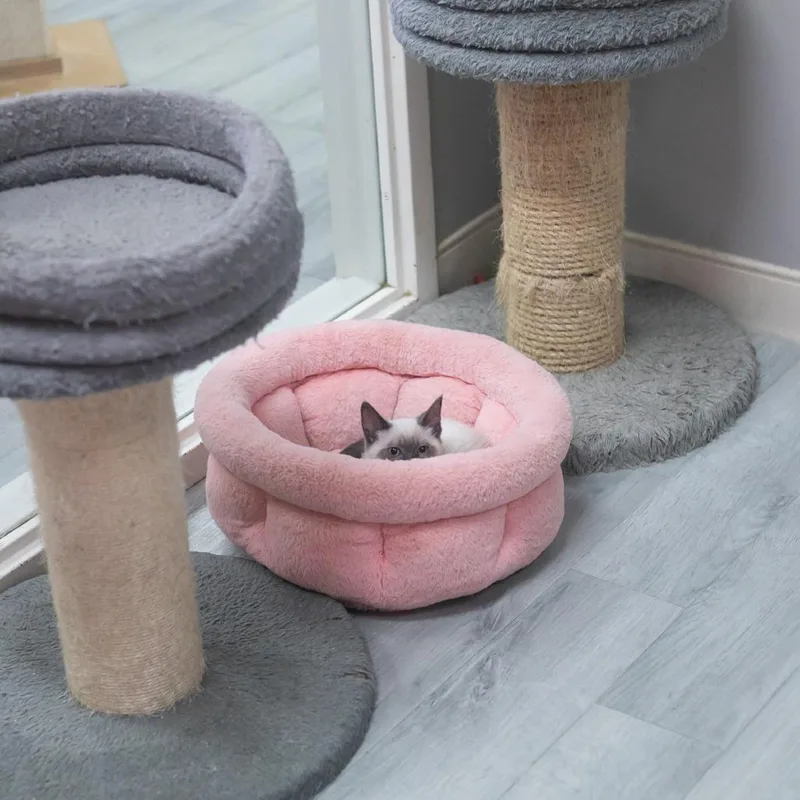 Chantara thumbnail 3