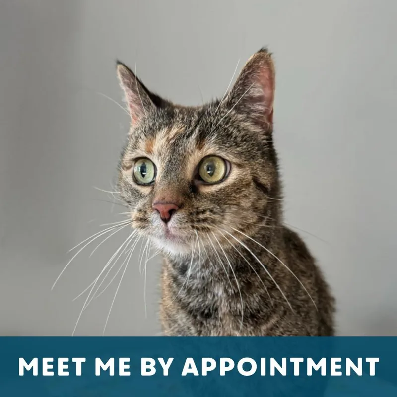 Karoline thumbnail 2