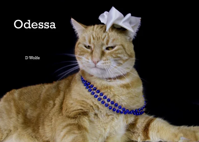 Odessa thumbnail 3