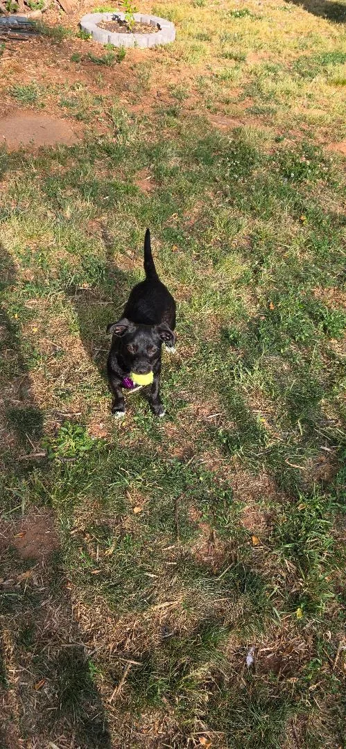 Maybelle