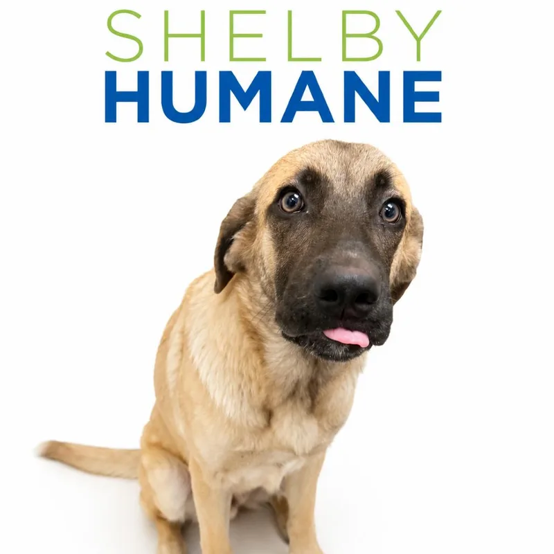 Lilly thumbnail 2