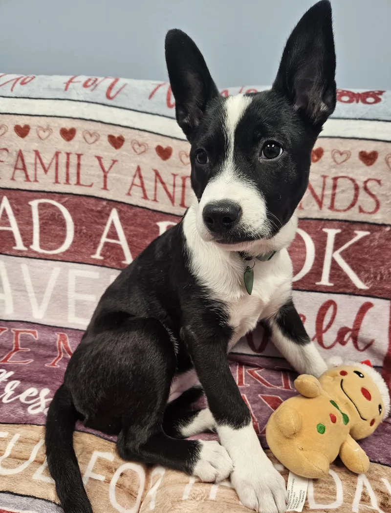 Daisy Claire thumbnail 3