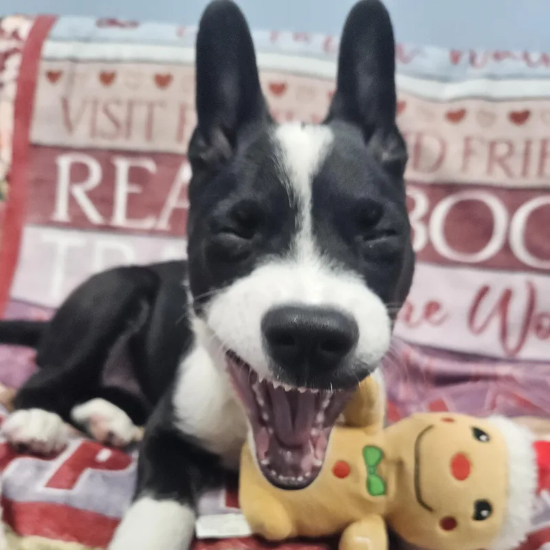 Daisy Claire thumbnail 5