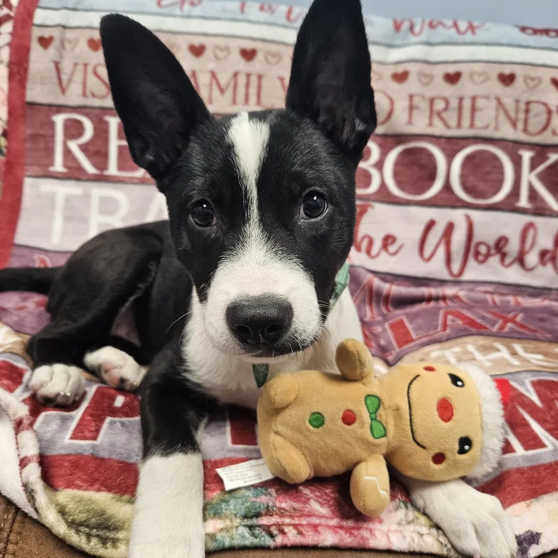 Daisy Claire thumbnail 6