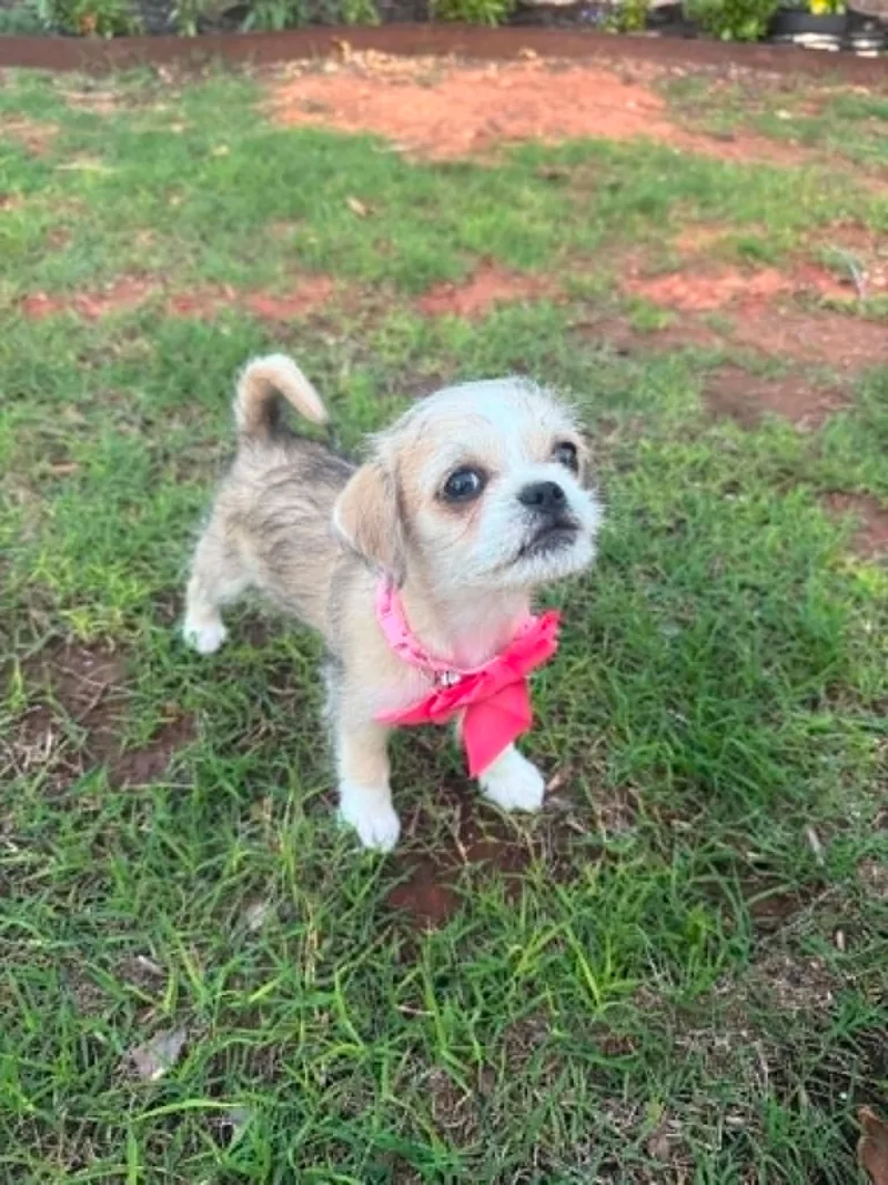 Chloe thumbnail 3