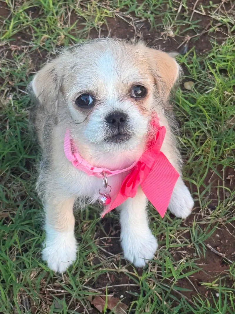 Chloe thumbnail 5