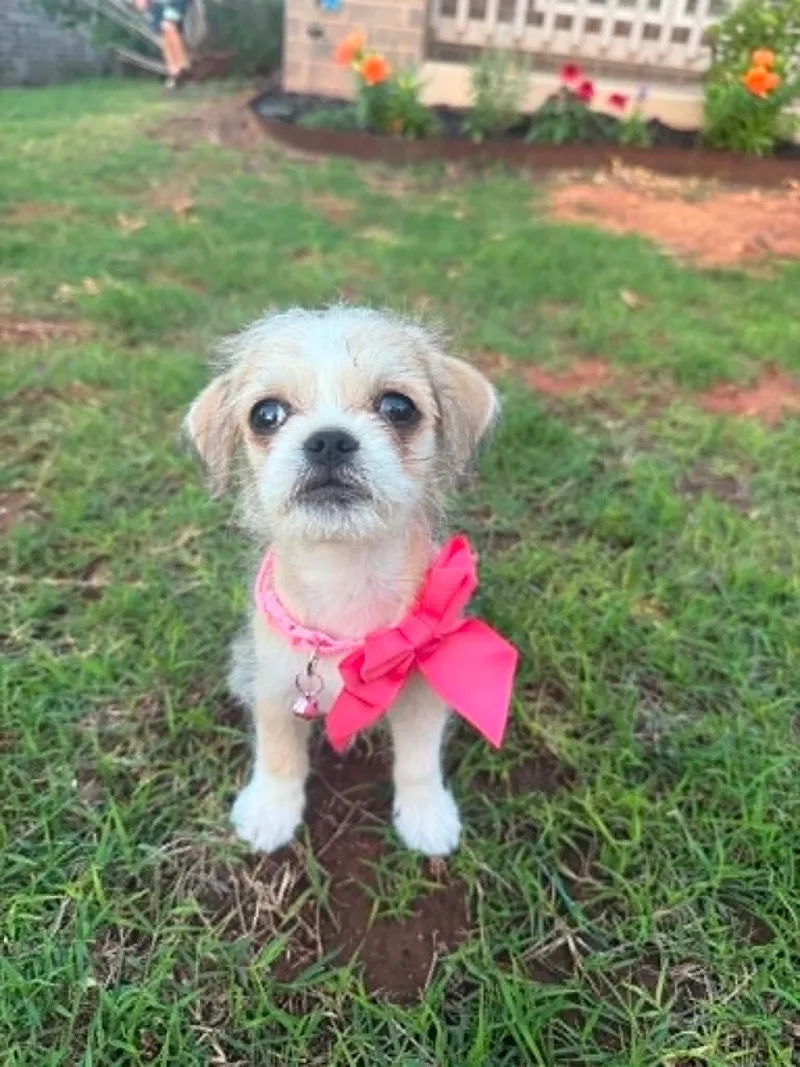 Chloe
