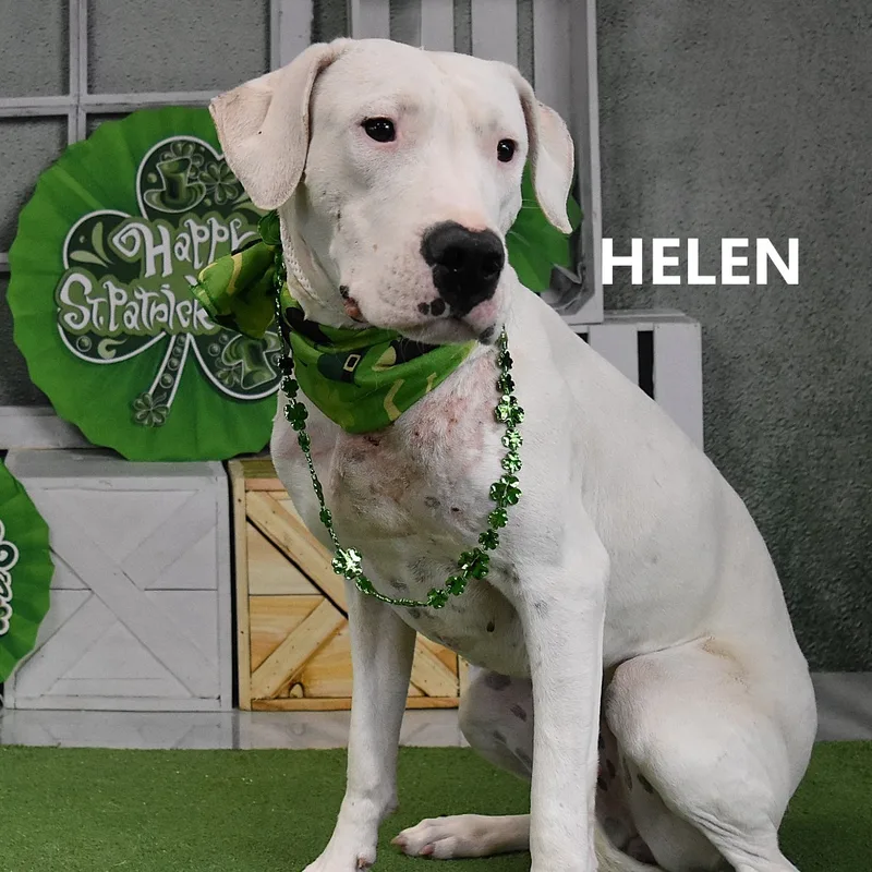 Helen