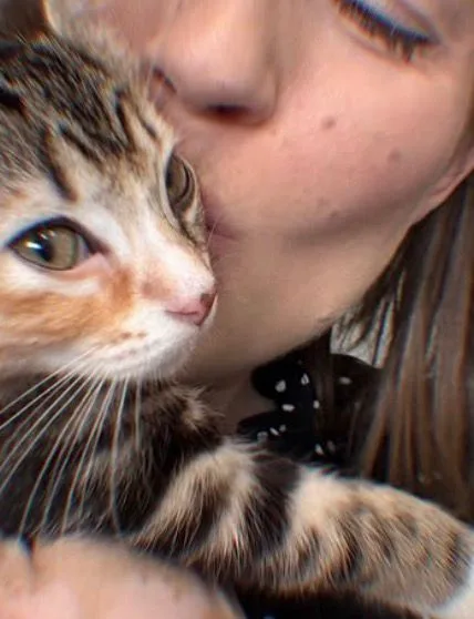 Lainey (bonded with Cece) thumbnail 4