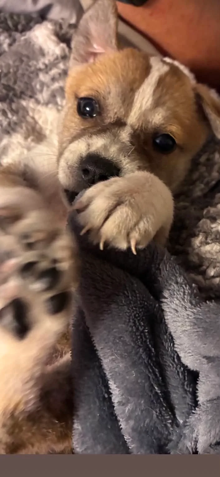 Alara Lynn thumbnail 3