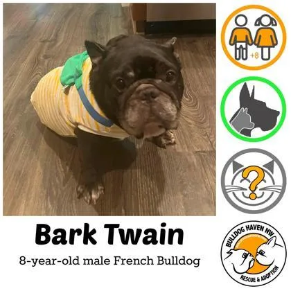 Bark Twain