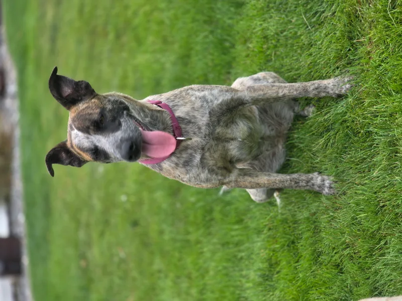 Thelma thumbnail 27