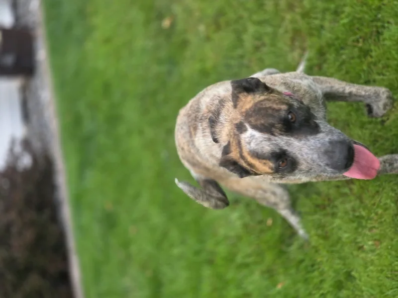 Thelma thumbnail 20
