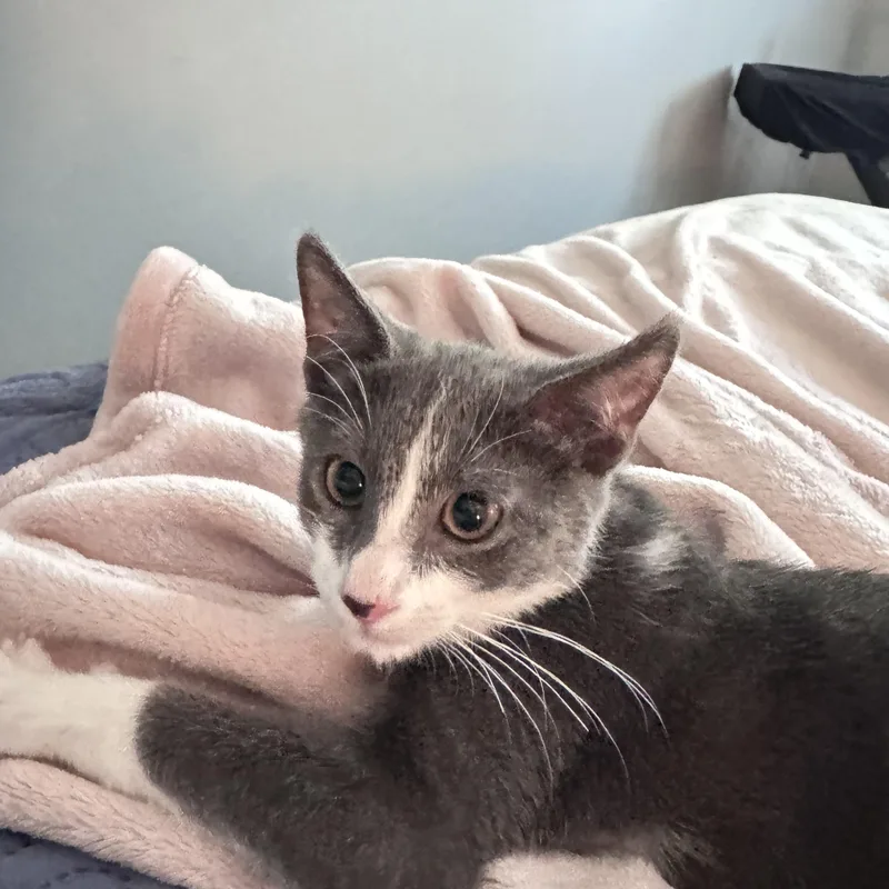 Leo And Spencer thumbnail 2