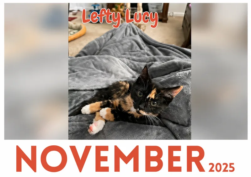 Lefty Lucy thumbnail 3
