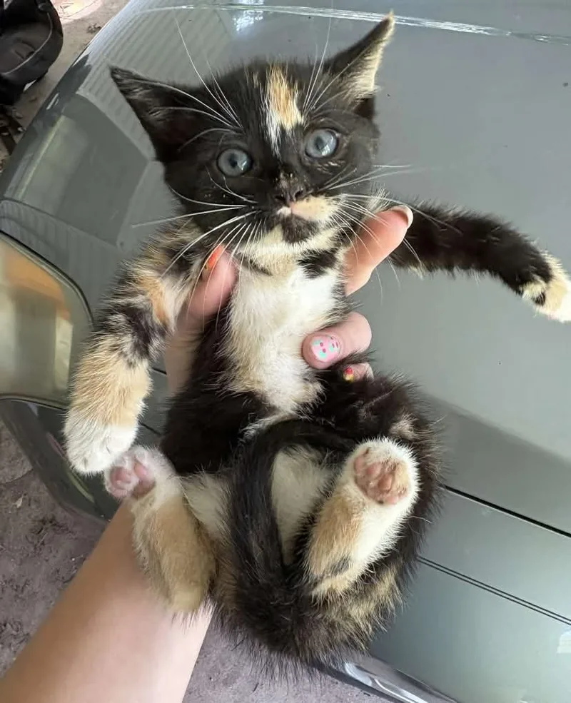 Lefty Lucy