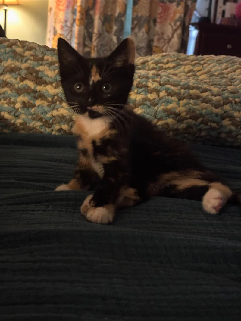 Lefty Lucy thumbnail 2