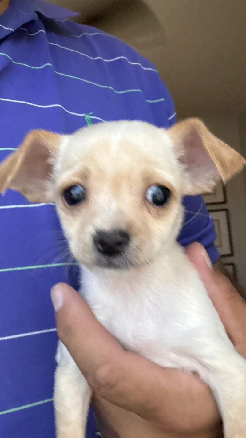 Blanca thumbnail 3