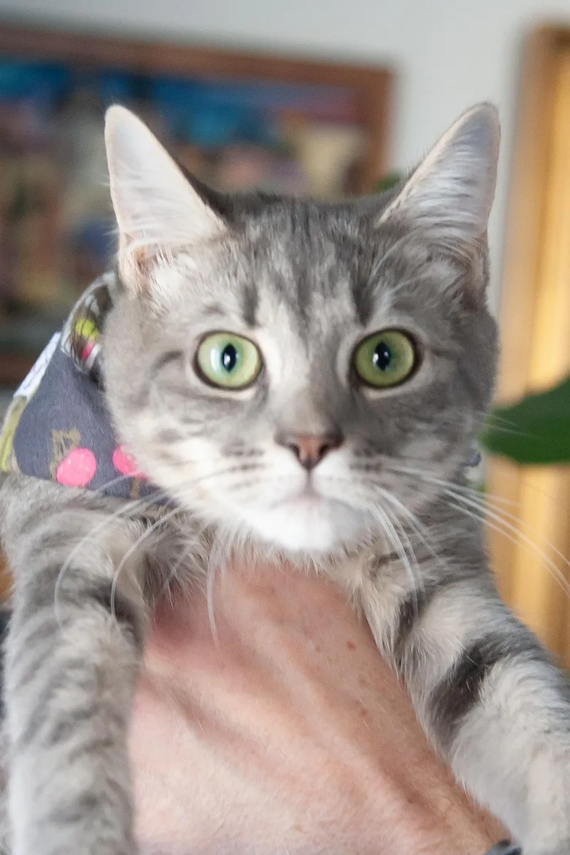 Olivia thumbnail 2