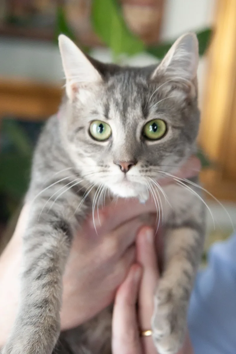 Olivia thumbnail 4