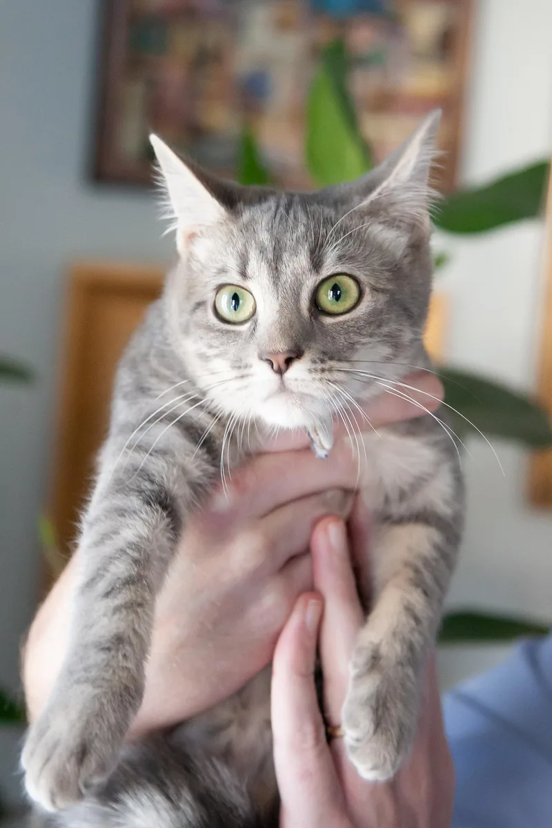 Olivia thumbnail 5