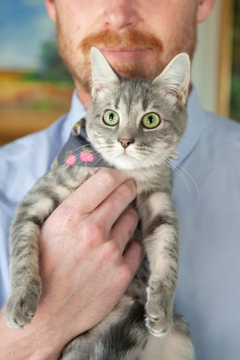 Olivia thumbnail 6