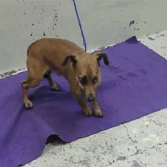 Cooper Arriving  D thumbnail 2