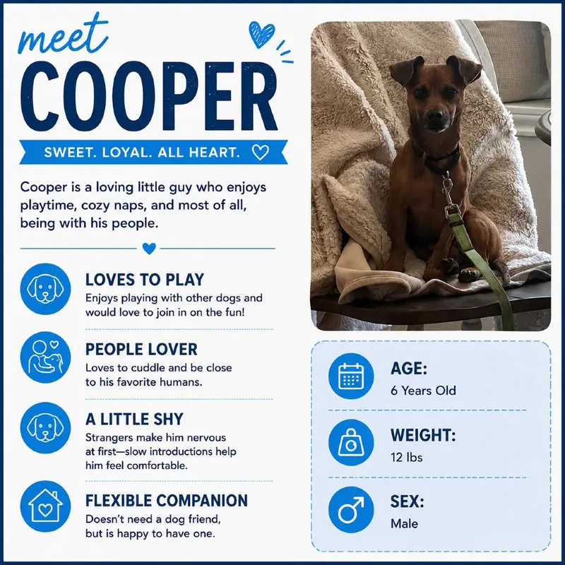 Cooper Arriving  D thumbnail 4