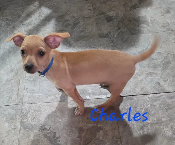 Charles