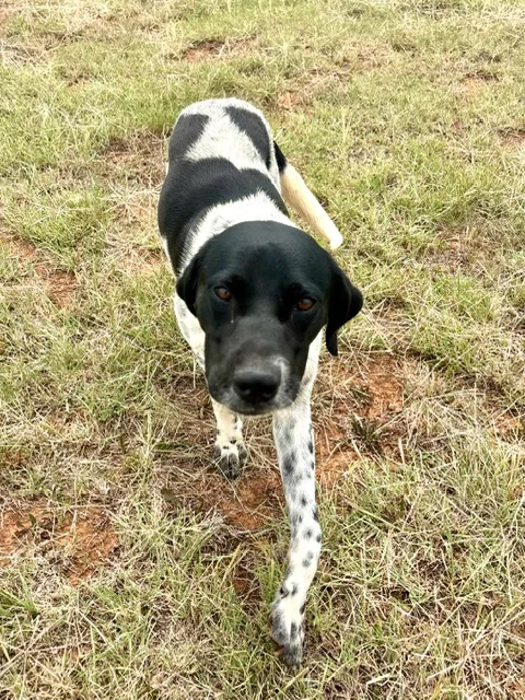 Benny