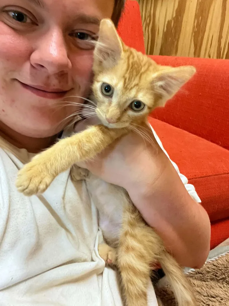 Hobbes thumbnail 3